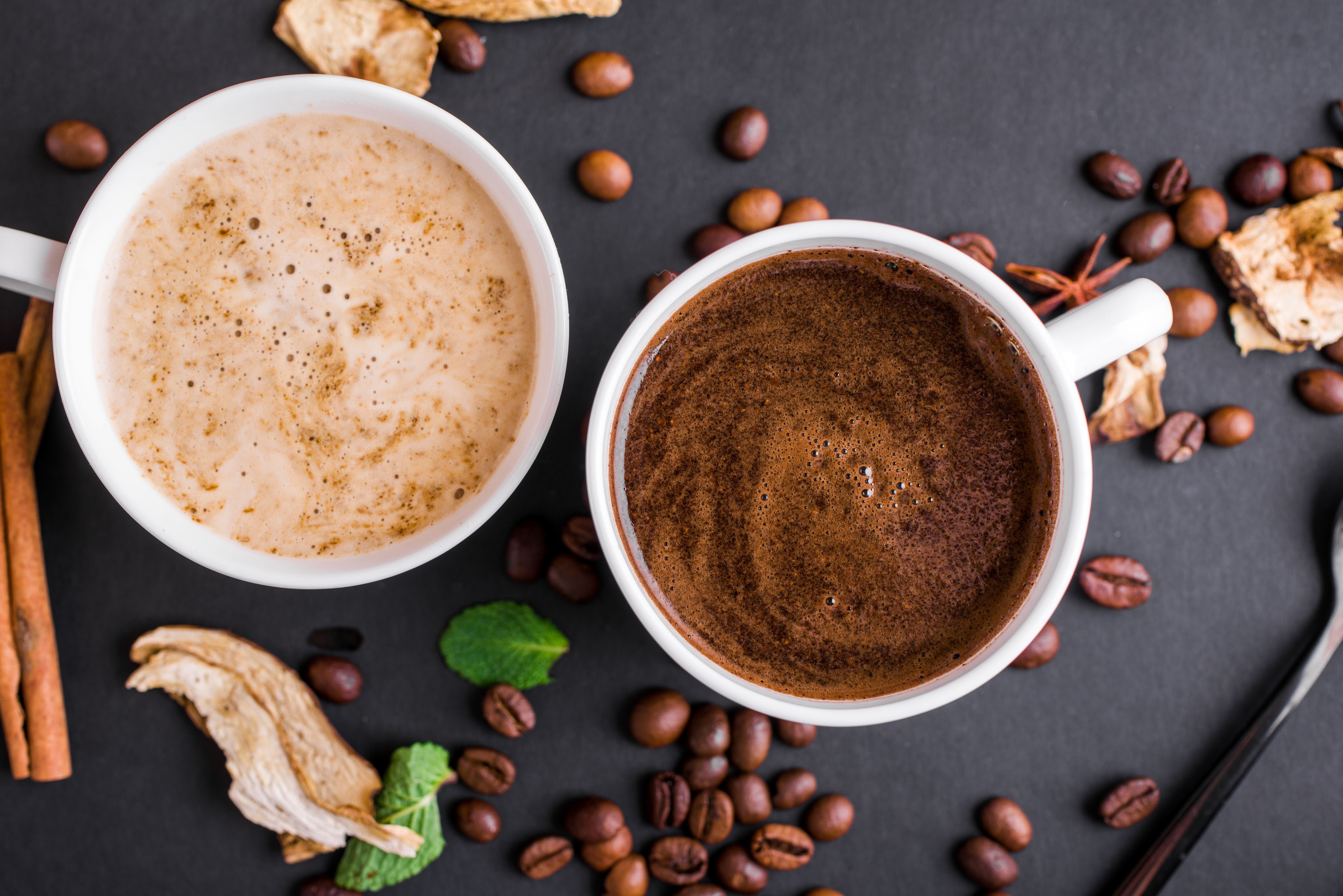 Chaga and lion's mane mushroom coffee superfood with dried and fresh mushrooms